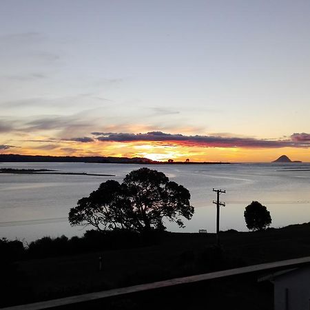 Ohiwa Harbour Studio Apartment Waiotahi Exteriör bild